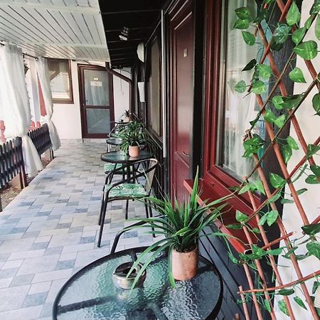 Pensiunea Red Rose Apartments Тімішоара Екстер'єр фото