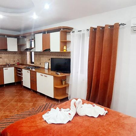 Pensiunea Red Rose Apartments Тімішоара Екстер'єр фото