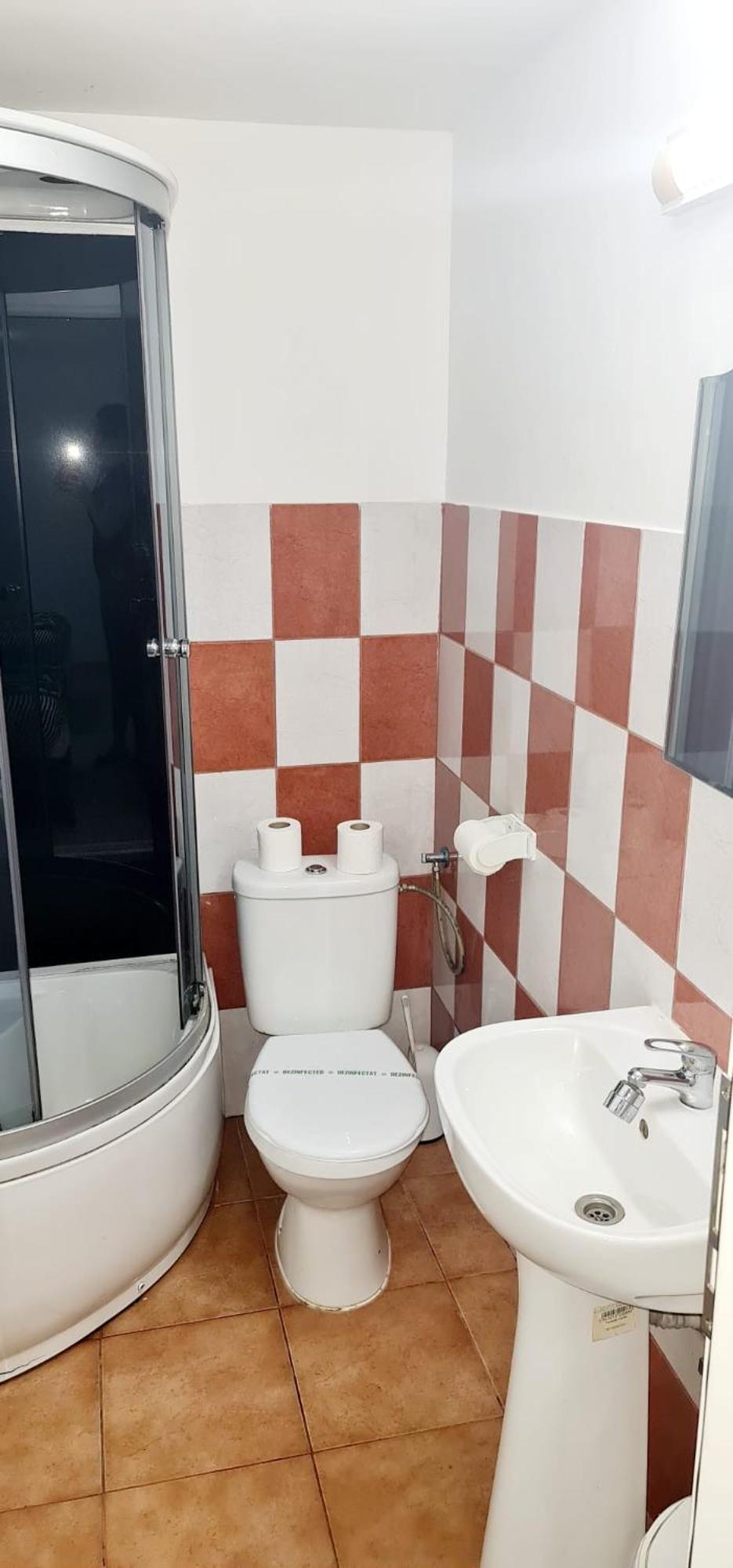 Pensiunea Red Rose Apartments Тімішоара Екстер'єр фото