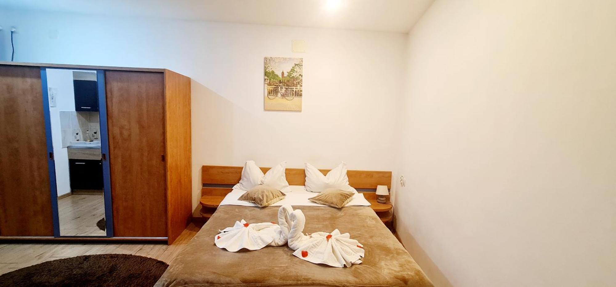 Pensiunea Red Rose Apartments Тімішоара Номер фото