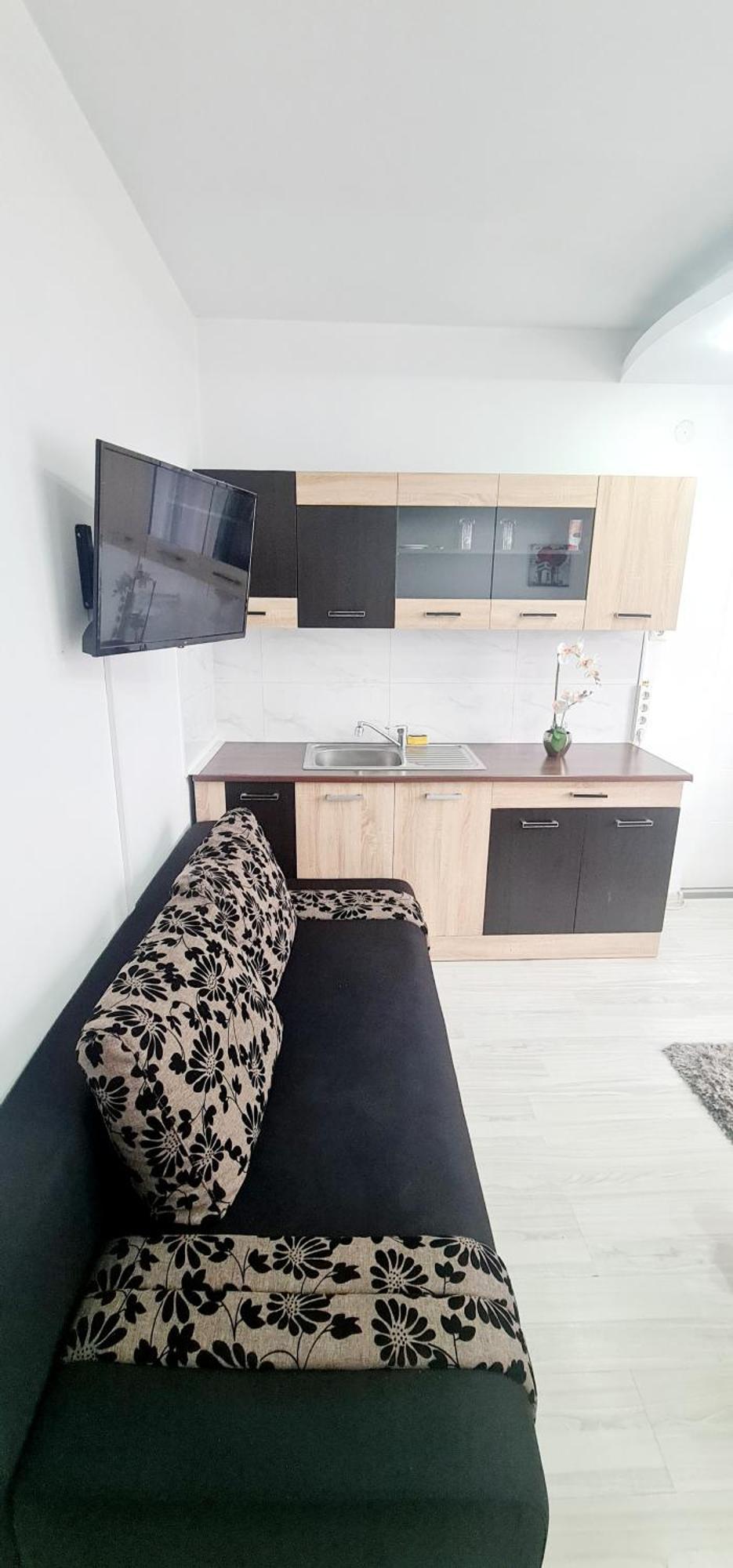 Pensiunea Red Rose Apartments Тімішоара Екстер'єр фото