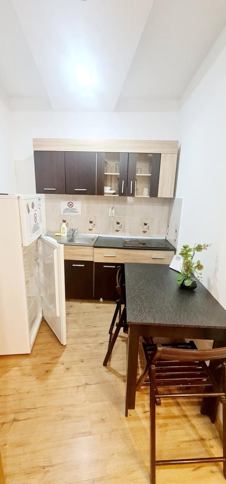 Pensiunea Red Rose Apartments Тімішоара Екстер'єр фото