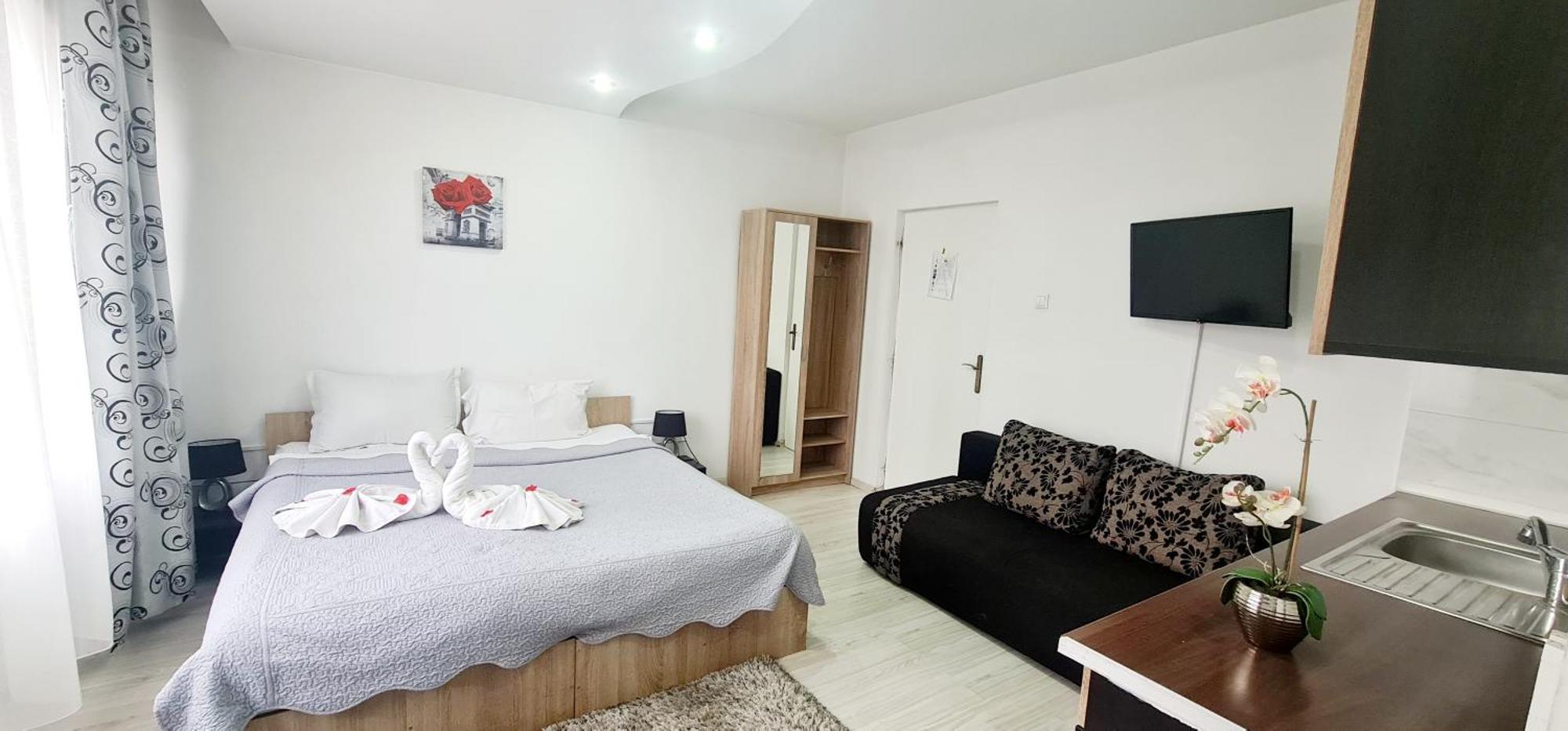 Pensiunea Red Rose Apartments Тімішоара Екстер'єр фото