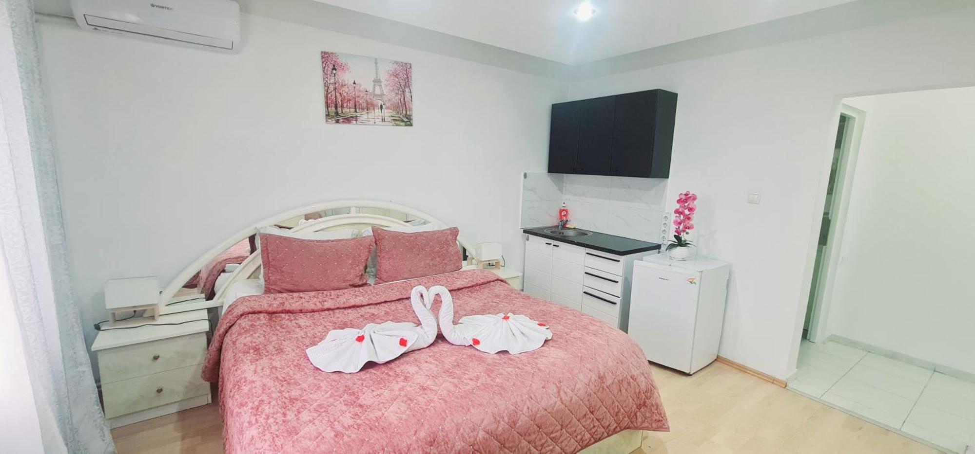 Pensiunea Red Rose Apartments Тімішоара Екстер'єр фото