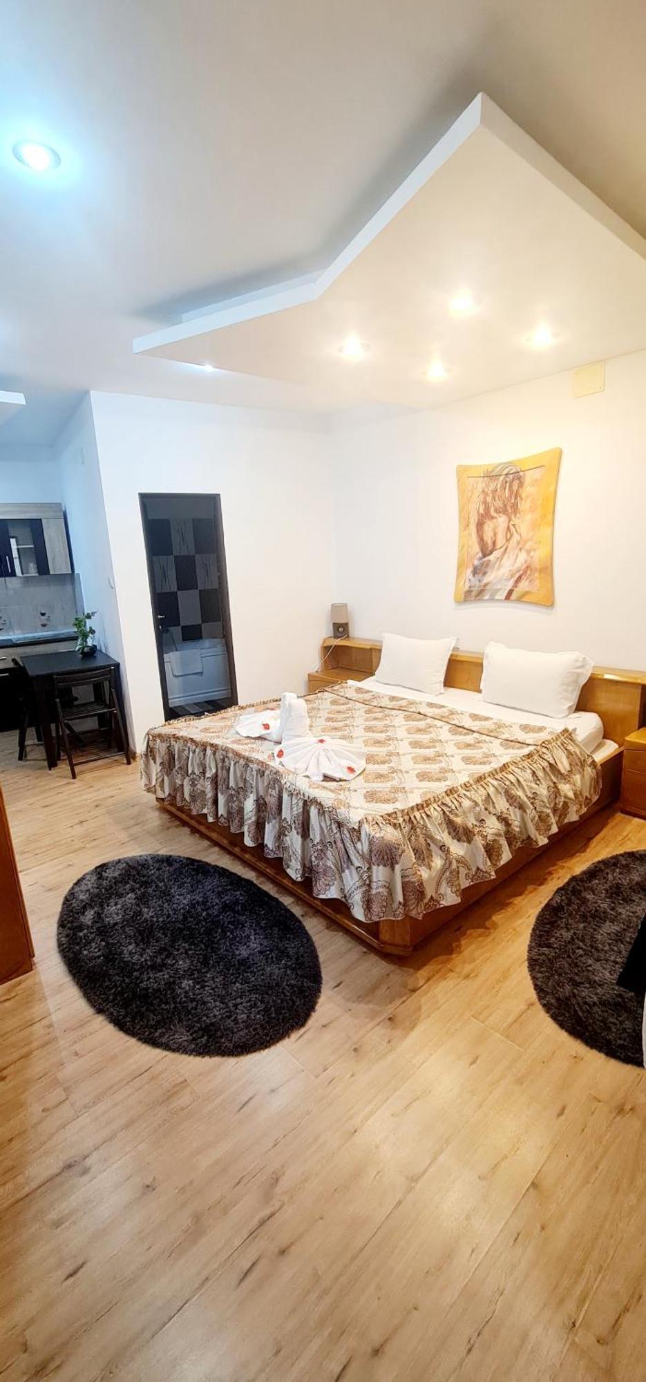 Pensiunea Red Rose Apartments Тімішоара Екстер'єр фото